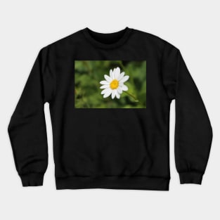 Daisy Crewneck Sweatshirt